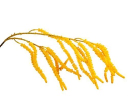 RAMA MIMOSA COLGANTE AMARILLA POLIESTER